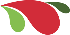 Logo Infodevices